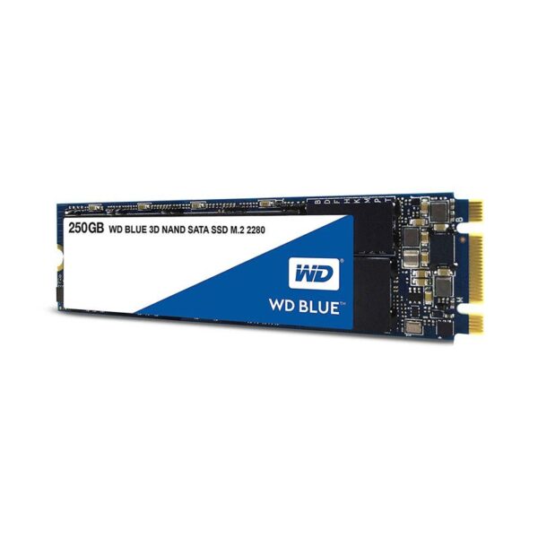 WESTERN DIGITAL BLUE 3D NAND 250GB M.2 INTERNAL SSD (WDS250G2B0B)